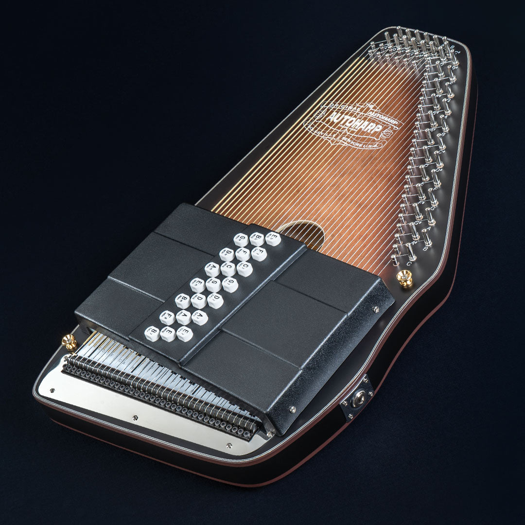 Oscar Schmidt OS11021AE Autoharp detail photograph
