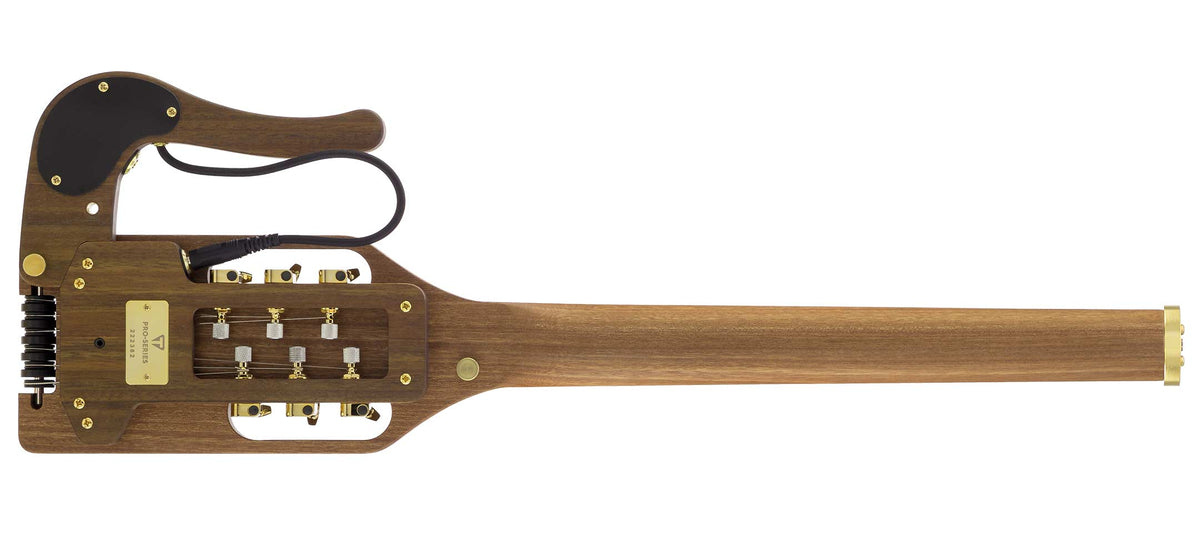 Traveler Guitars Pro Deluxe back view