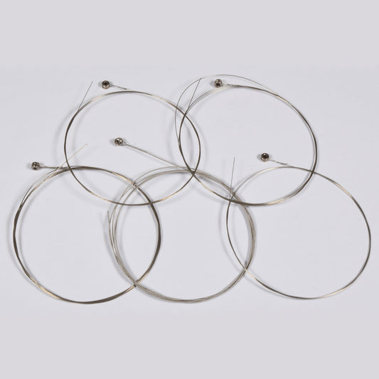 G-Banjo 5-String Set