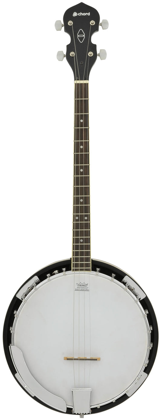4-string tenor banjo