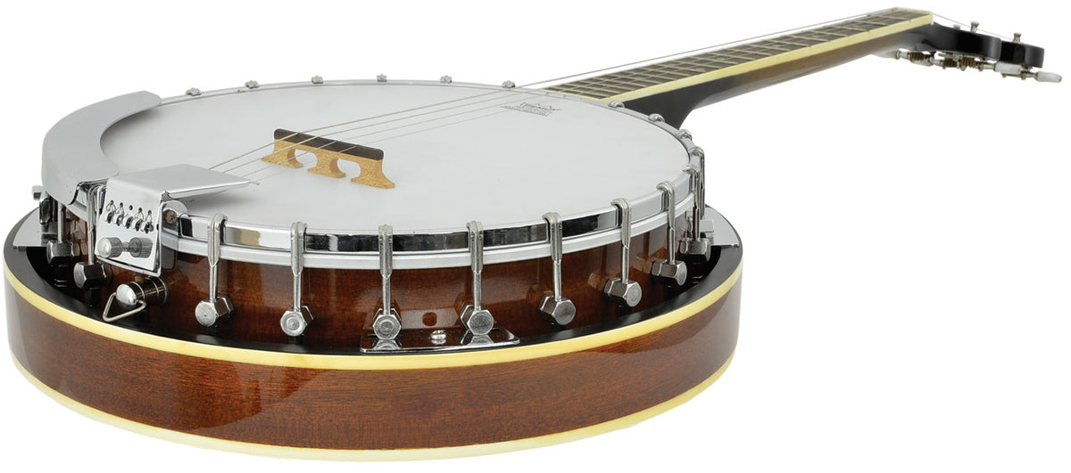 4-string tenor banjo