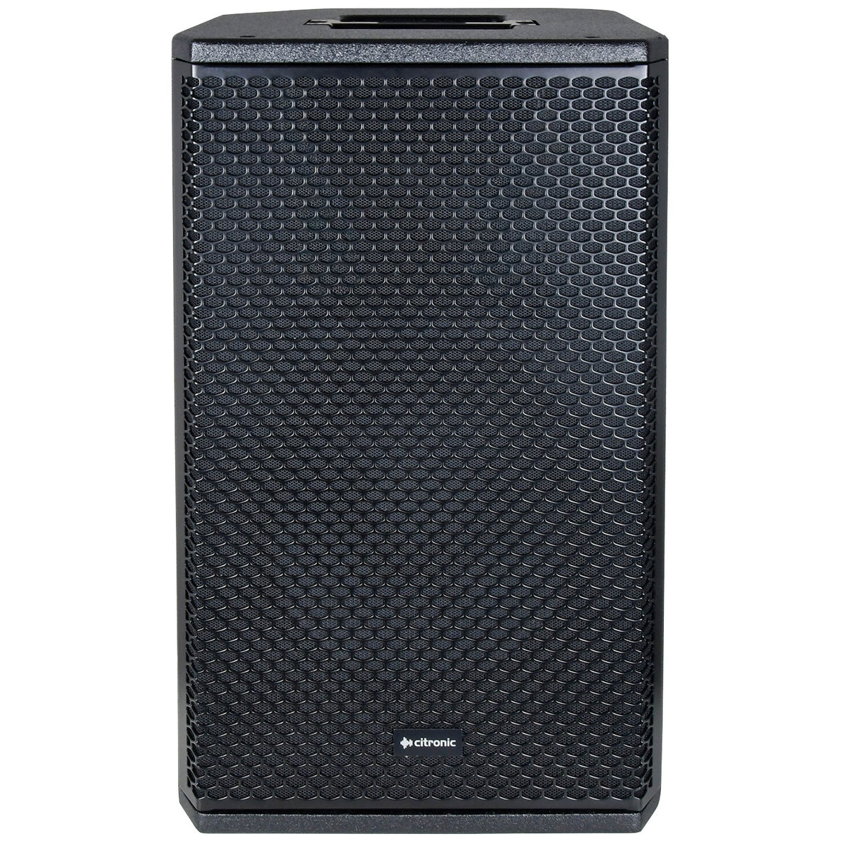 CORVA-10A Active PA Cabinet 450W