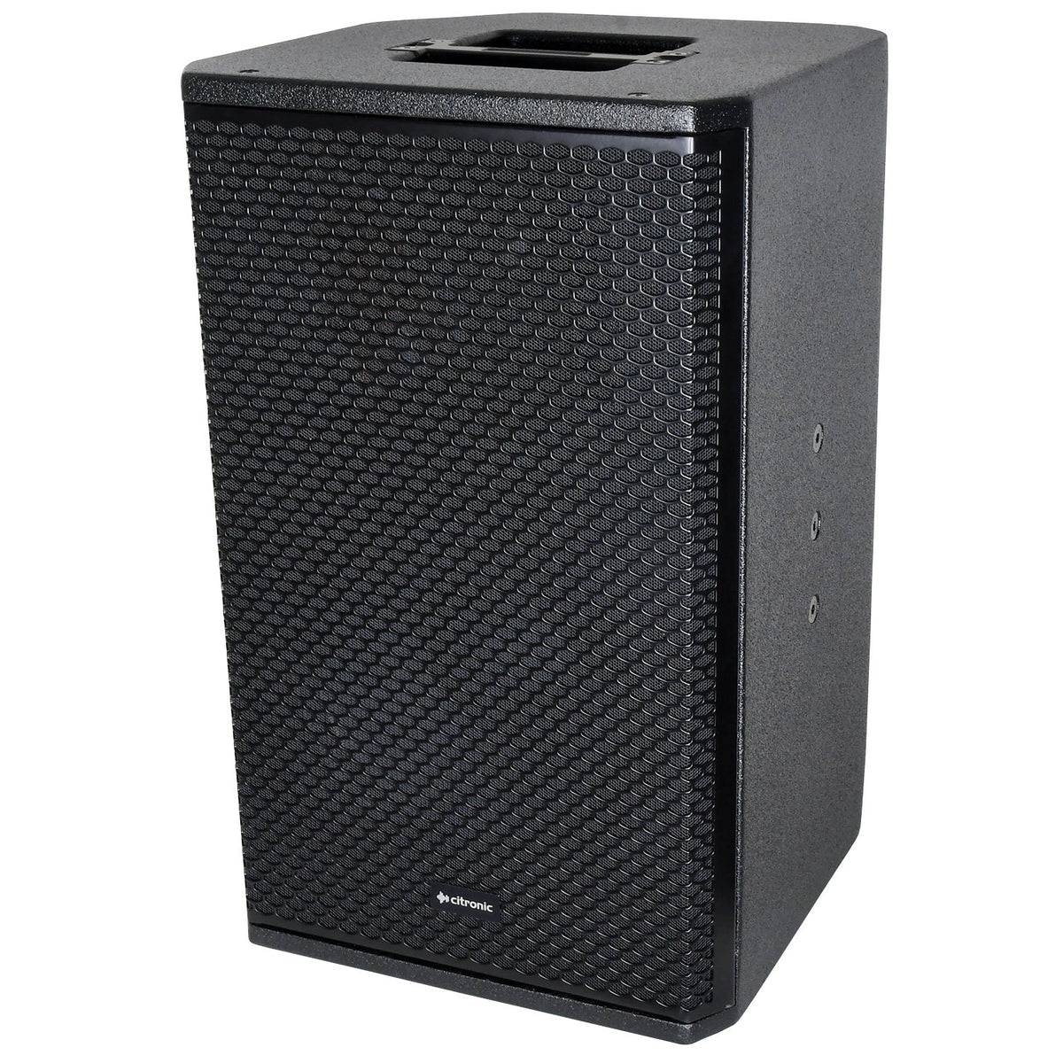 CORVA-10A Active PA Cabinet 450W