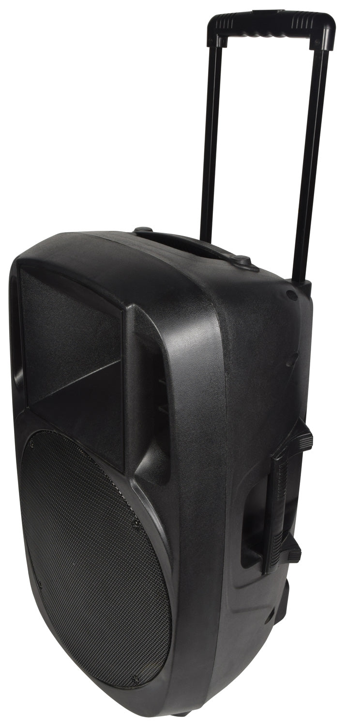 XCAB-15 Moulded PA Cabinet 15"