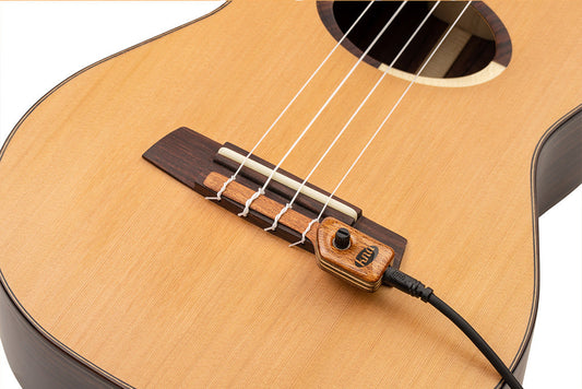 KNA UK-2 official supplier photograph